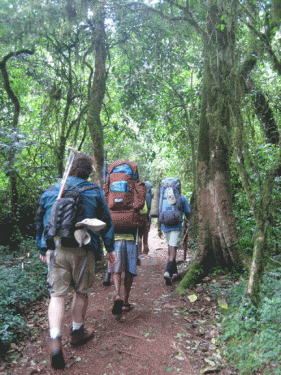 Ninh Binh biking tour 2 days