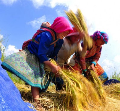 Sapa hard trekking tour 4 days