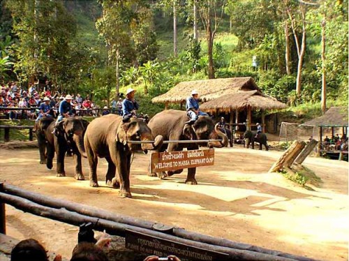 Hidden charm of Thailand 8 Days 